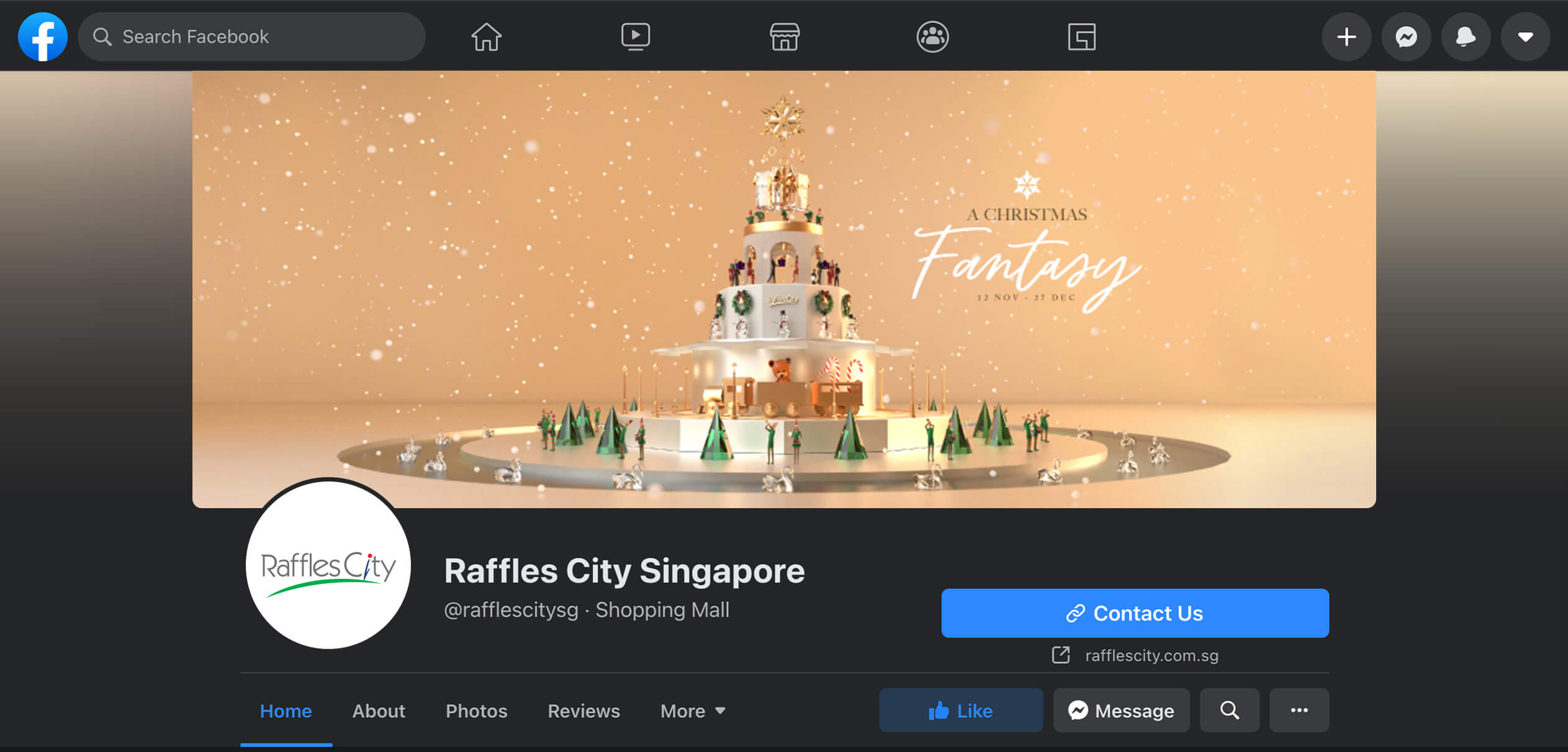 Raffles City Christmas 2020 Facebook Cover Image