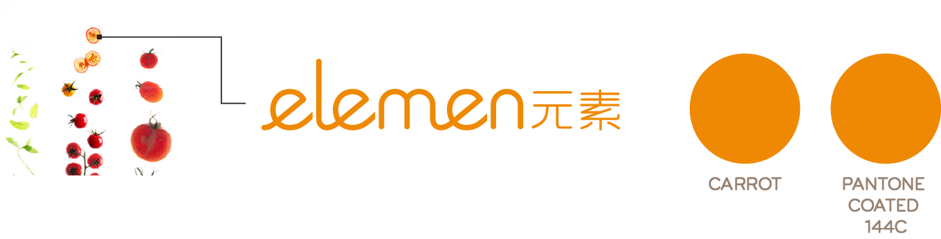 Elemen Corporate Colors 2