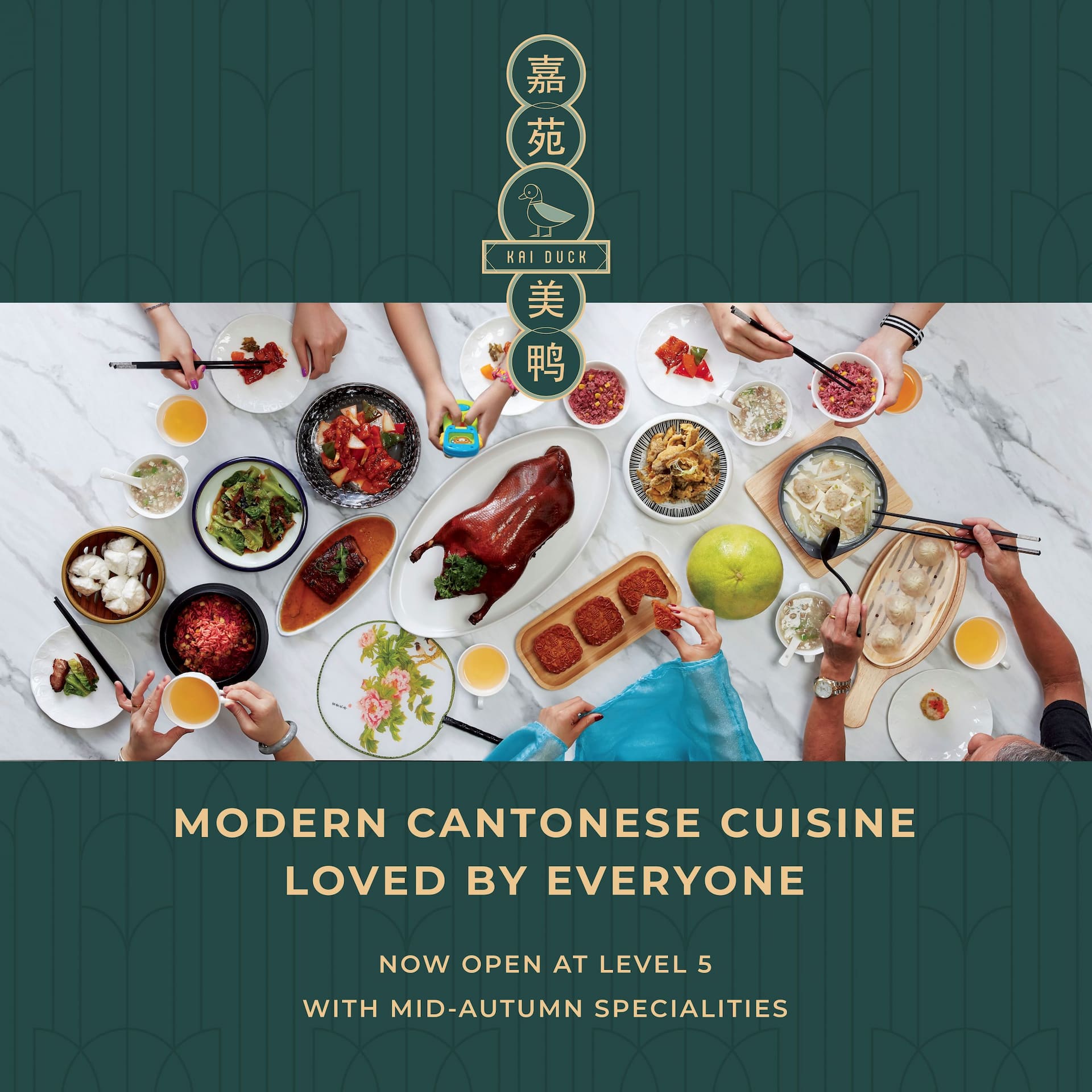 Kai Duck Promotional Ad 1