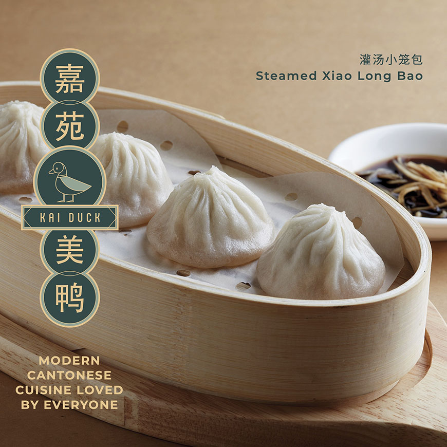 Kai Duck Promotional Ad 3