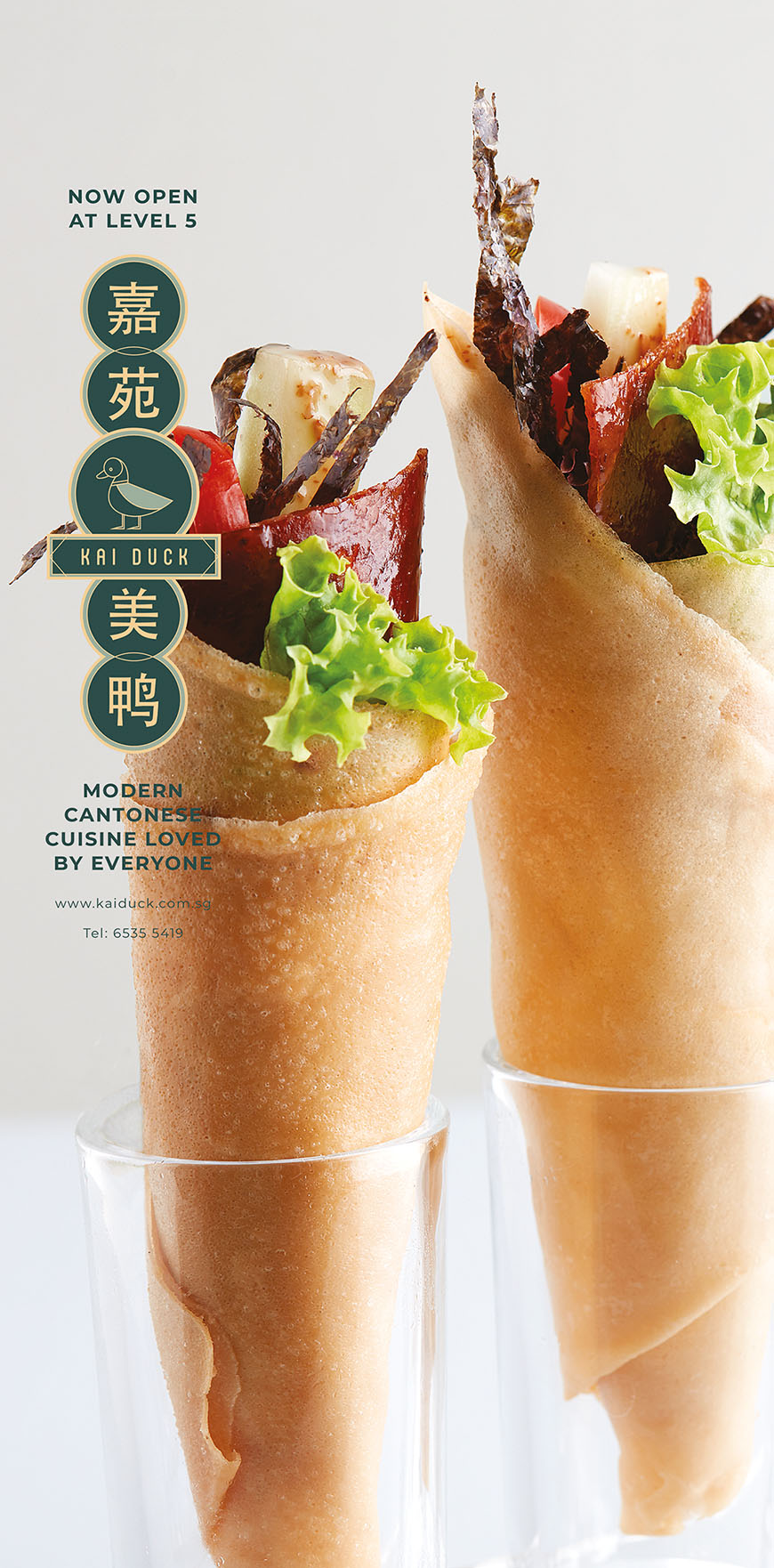 Kai Duck Promotional Ad 4