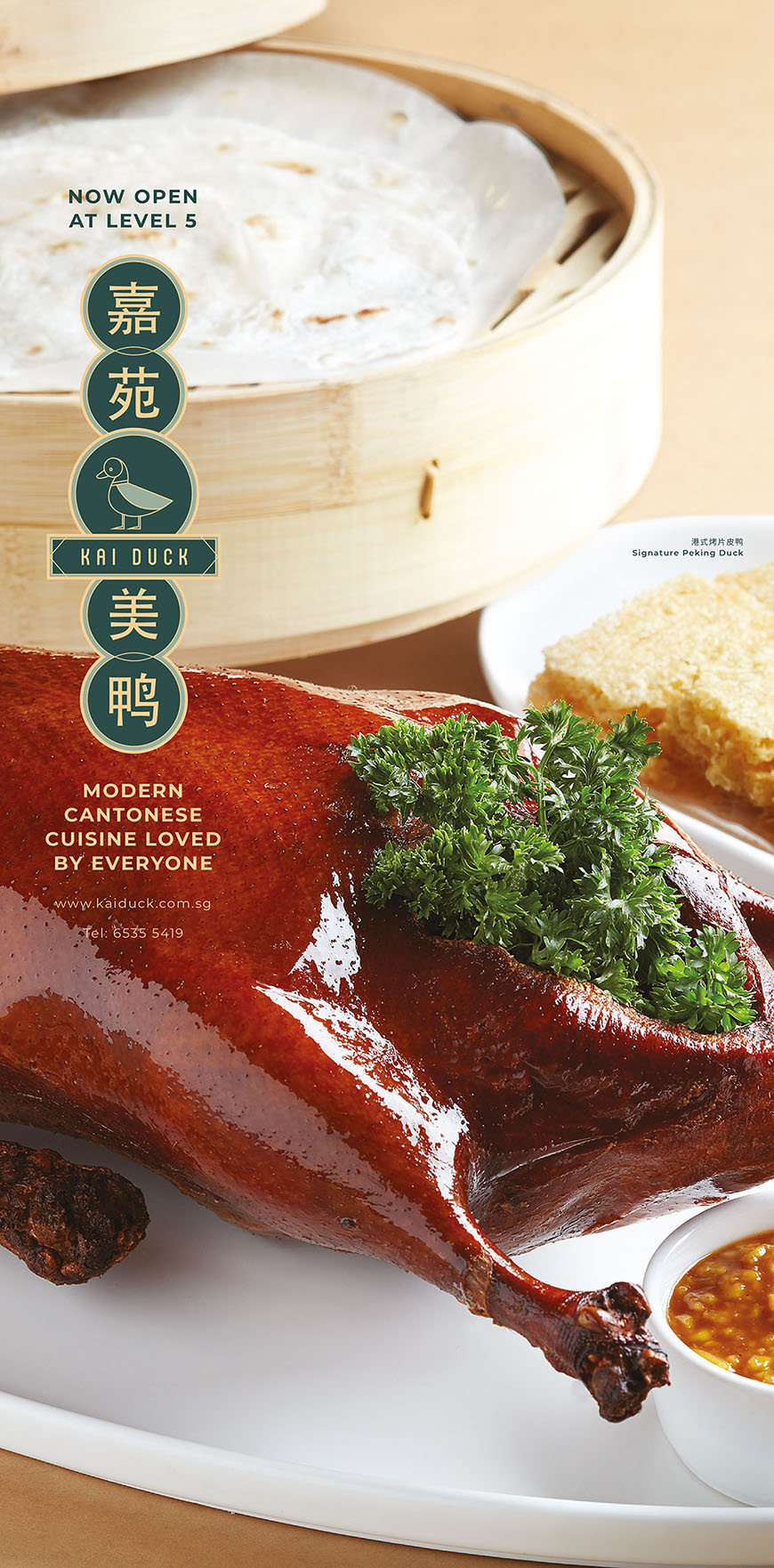 Kai Duck Promotional Ad 6