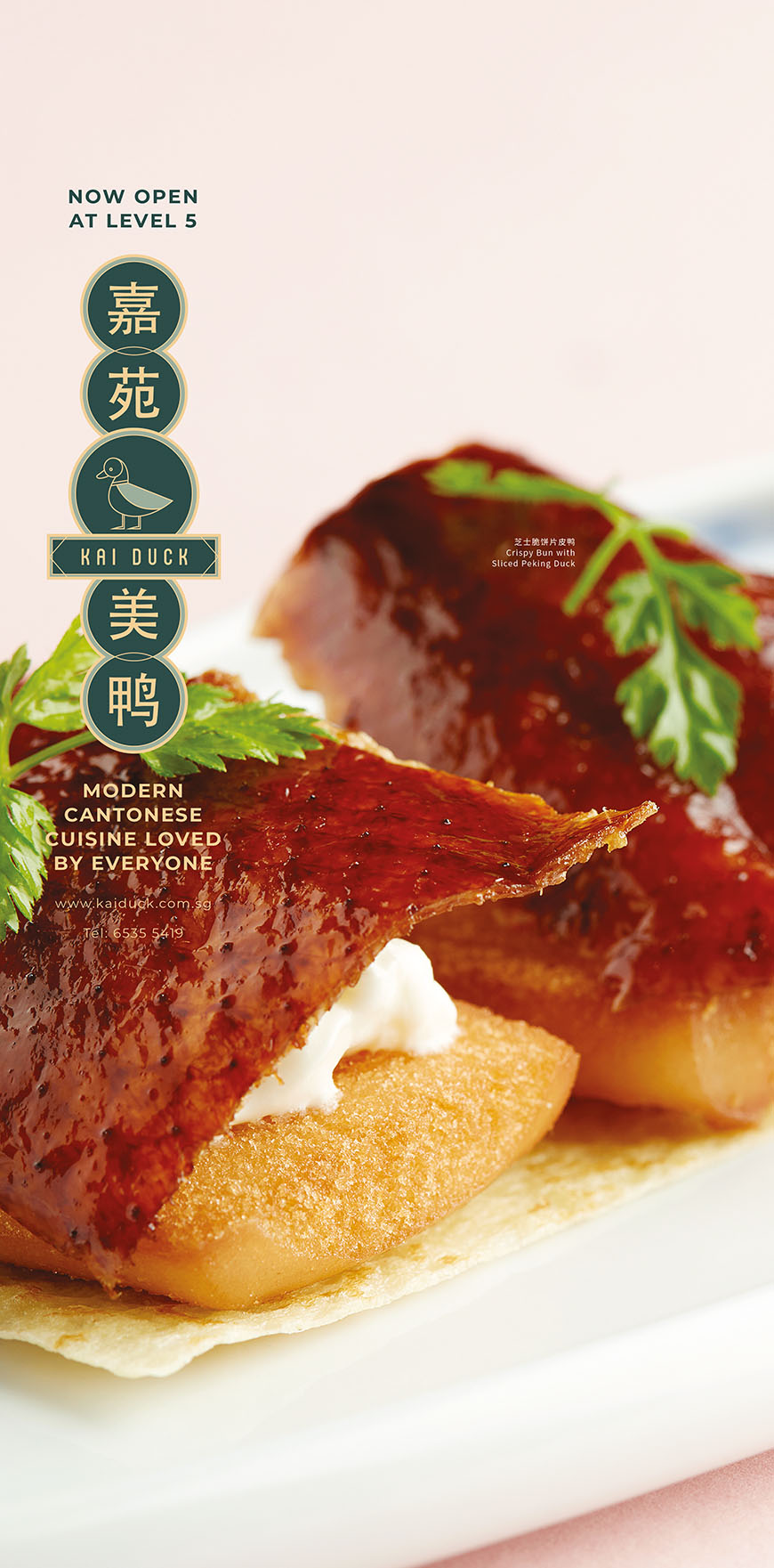 Kai Duck Promotional Ad 7