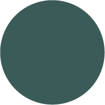 Kai Duck Corporate Color 1