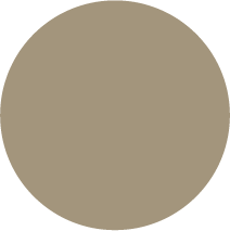 Kai Duck Corporate Color 2