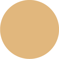 Kai Duck Corporate Color 3