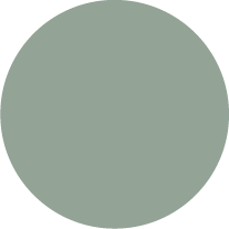 Kai Duck Corporate Color 4