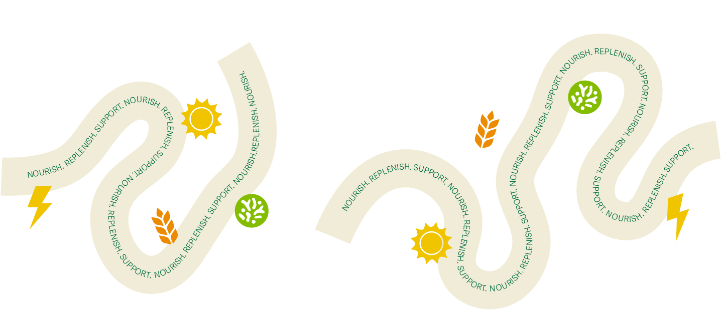 AMWAY_Graphic-Devices